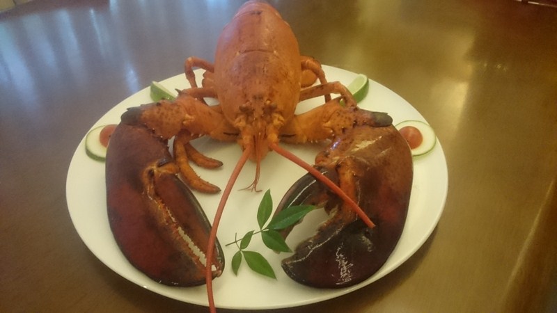 安可喬治-LIVE北大西洋龍蝦 Live Atlantic Lobster
