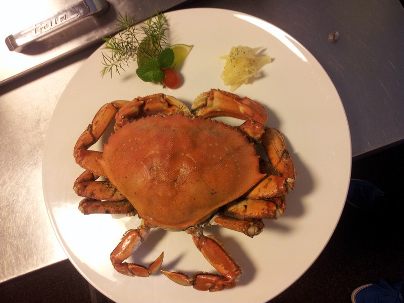 安可喬治-LIVE阿拉斯加大肉蟹 Live Dungeness Crab